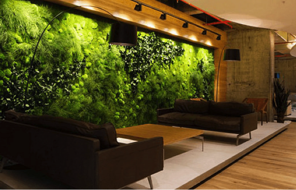 Biophilic Space Green Wall